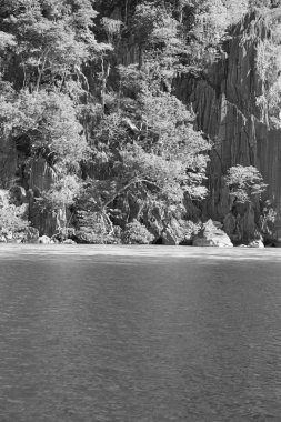 Filipinler 'deki bir tekneden El Nido Palawan yakınlarındaki yılan adasından güzel bir panorama kıyısı denizi ve kaya 