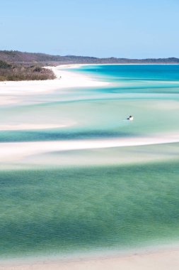 Avustralya plaj Whitsunday Adası cennet kavramı gibi ve rahatla
