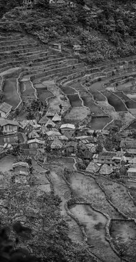 Banaue Unesco sitesinden pirinç elde etmek için Filipinler teras sahasında bulanıklık