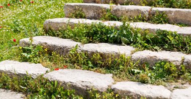 içinde um quais jordan antik terk stairwais çiçek ve çim ile