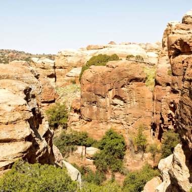 doğal vahşi yaşam Vadisi doğal rezerv