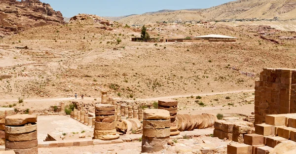 Petra Jordan Rue Antique Pleine Colonnes Patrimoine Architectural — Photo