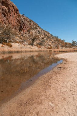 ve nehir kenarında doğa dağ