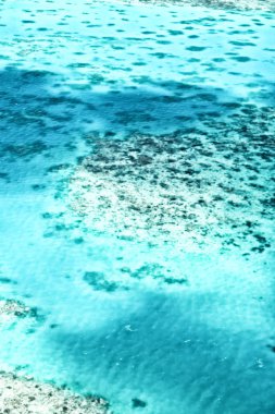 Avustralya natuarl park cennet yüksek kavram büyük resif