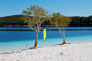 Avustralya Gölü mckenzie turizmde ağaç ve cennet