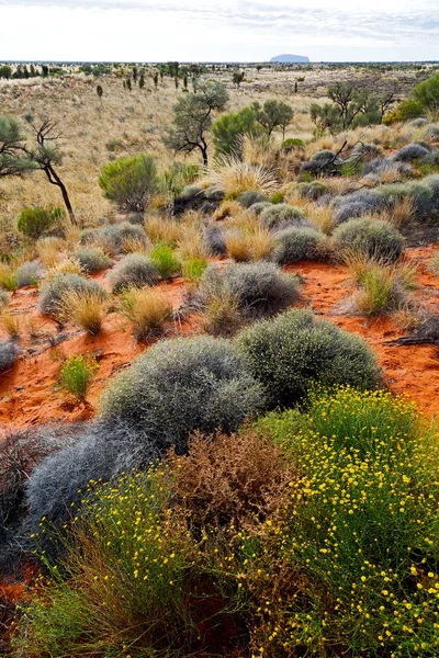 Australia Concept Wilderness Environment Landscape Outback Stock Photo