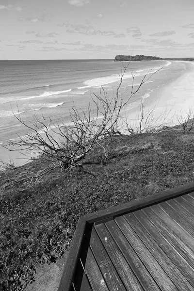 Australia Pasarela Playa Hervey Bay Fraser Island Como Concepto Paradisíaco — Foto de Stock