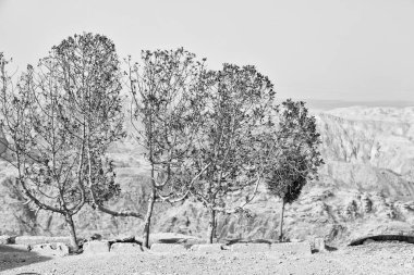 cennet dağ jordan antik kale manzarası