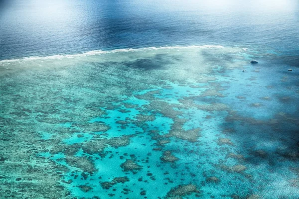 Australia Natuarl Park Great Reef High Concept Paradise — Stock Photo, Image