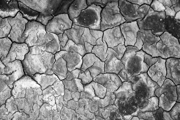 Пустыне Сухая Земля Фон Текстуры — стоковое фото