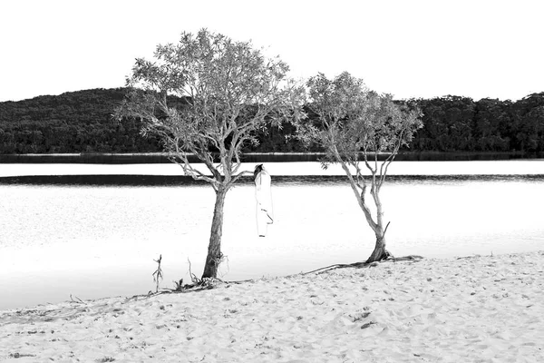 Australia Lago Mckenzie Árbol Turismo Relajarse Paraíso — Foto de Stock