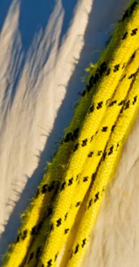 Gezinti whit vassel ip kavramı 