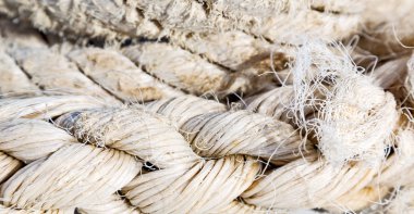 Gezinti whit vassel ip kavramı 