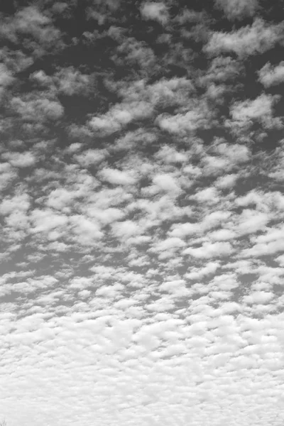빈 하늘 구름의 전체 — 스톡 사진