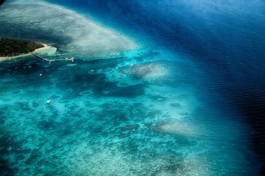 doğal park ve resif Avustralya'da havadan görünümü