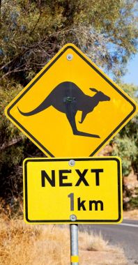 Avustralya vahşi kanguru işareti 