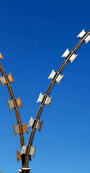 In the clear sky like concept of  crime a razor wire — Stock Photo, Image