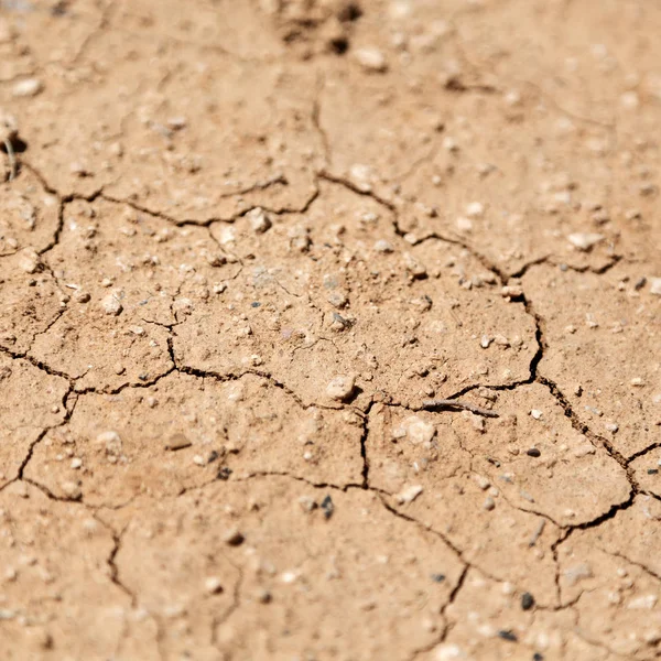 En el desierto la tierra seca —  Fotos de Stock