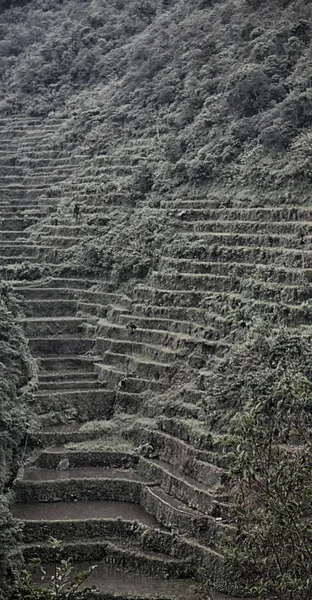 Blur Teras Philippinus Untuk Coultivation Padi Dari Situs Banaue Unesco — Stok Foto