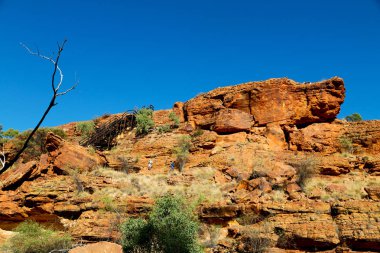  Kral Kanyonu doğa vahşi ve taşra