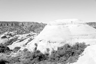 doğal vahşi yaşam Vadisi doğal rezerv
