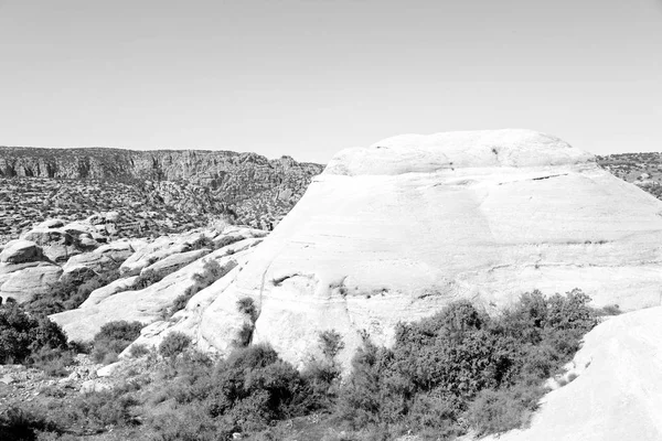 In the scenic wildlife  valley  natural  reserve — Stock Photo, Image