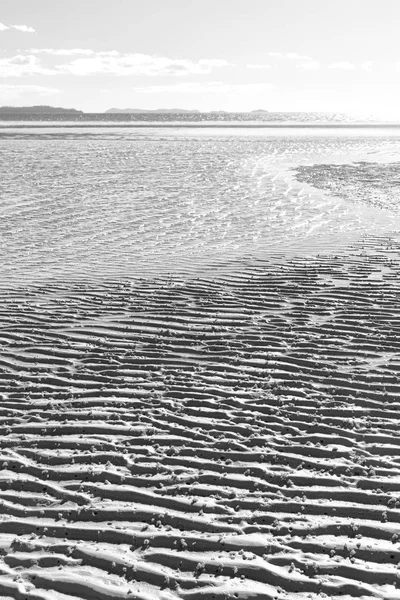 Мальовничий Вид Пляж Трійця Острів Австралії — стокове фото