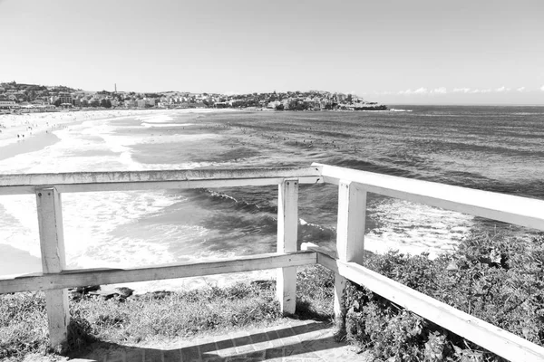 Australia Spiaggia Turistica Surfe — Foto Stock