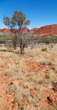 Avustralya outback Kanyon ve doğada mountain yakınındaki