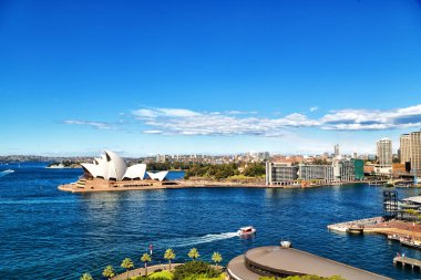 Avustralya'da sydney opera evi koyun ve CIT manzarası