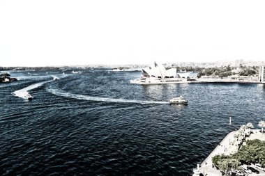 Avustralya'da sydney opera evi koyun ve CIT manzarası
