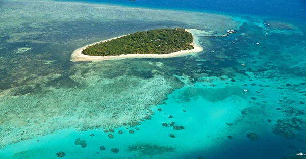 Avustralya natuarl park cennet yüksek kavram büyük resif