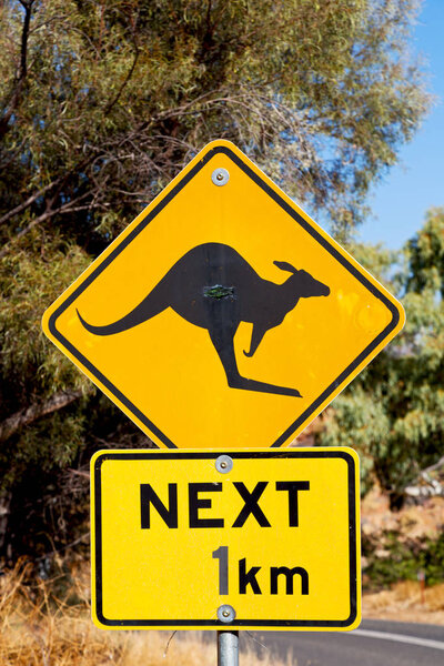 in australia  the sign for wild kangaroo  likee  concept of safety