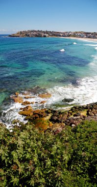 Avustralya plaj turizm ve surfe