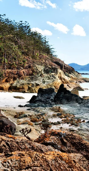Australii Plaży Whitsunday Island Drzewa Skały — Zdjęcie stockowe