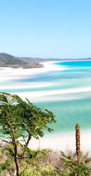 Australien Strand Der Whitsunday Island Paradiesisches Konzept Und Entspannen — Stockfoto
