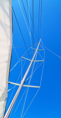 Gezinti ve rüzgar hızı ile yelken ağaç kavramını Avustralya'da