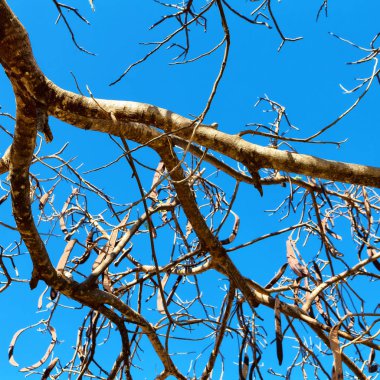 bir şube konsepti gibi boş gökyüzünde soyut doku