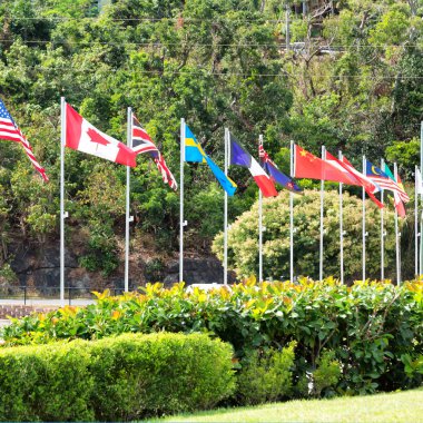 Avustralya'da dünya bayrak parkta bir sürü ağaç ayı.