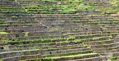 Banaue Unesco sitesinden pirinç elde etmek için Filipinler teras sahasında bulanıklık