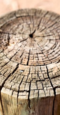 yüzey ağaç arka plan tahıl gibi soyut doku