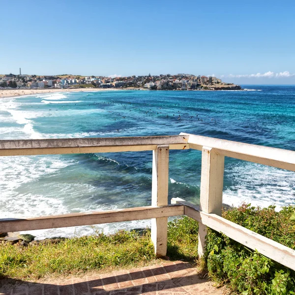 Australia Beach Tourist Surfe — Stock Photo, Image