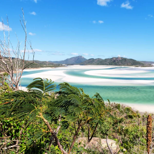 Australia Playa Whitsunday Island Como Concepto Paraíso Relajarse — Foto de Stock