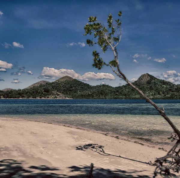 Ilha Filipinas Bela Árvore Cosatline Colina Barco Para Turista — Fotografia de Stock