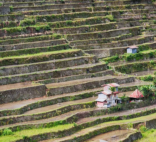 Unschärfe Philippinischen Terrassenfeldern Für Reisanbau Aus Banaue Unesco Welterbe — Stockfoto