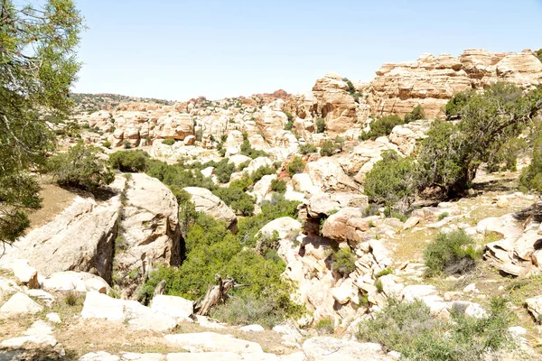 Jordánsku Malebné Údolí Dana Přírodní Rezervaci Pro Pěší — Stock fotografie