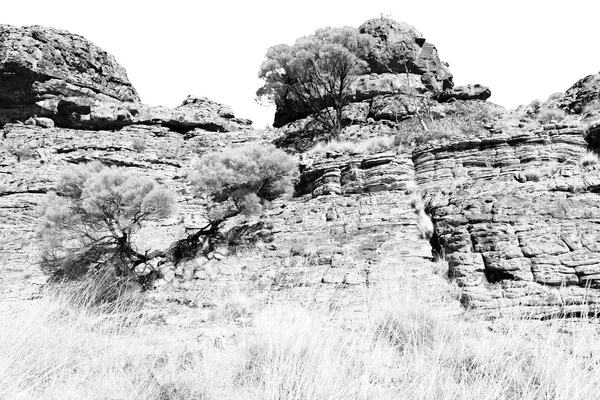 Austrálii Kings Canyon Přírodě Divoké Outback — Stock fotografie