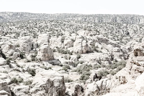 Jordánsku Malebné Údolí Dana Přírodní Rezervaci Pro Pěší — Stock fotografie