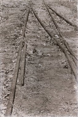 Avustralya'da demiryolu doğada terk edilmiş