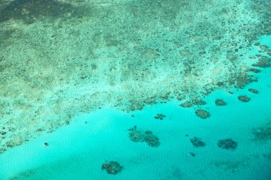  yüksek büyük resif